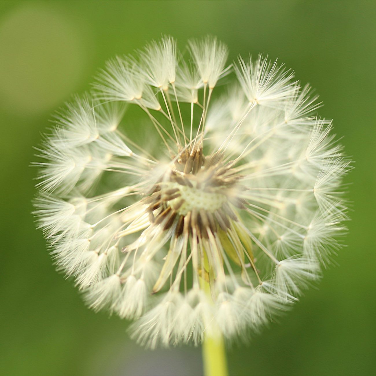 In the wind