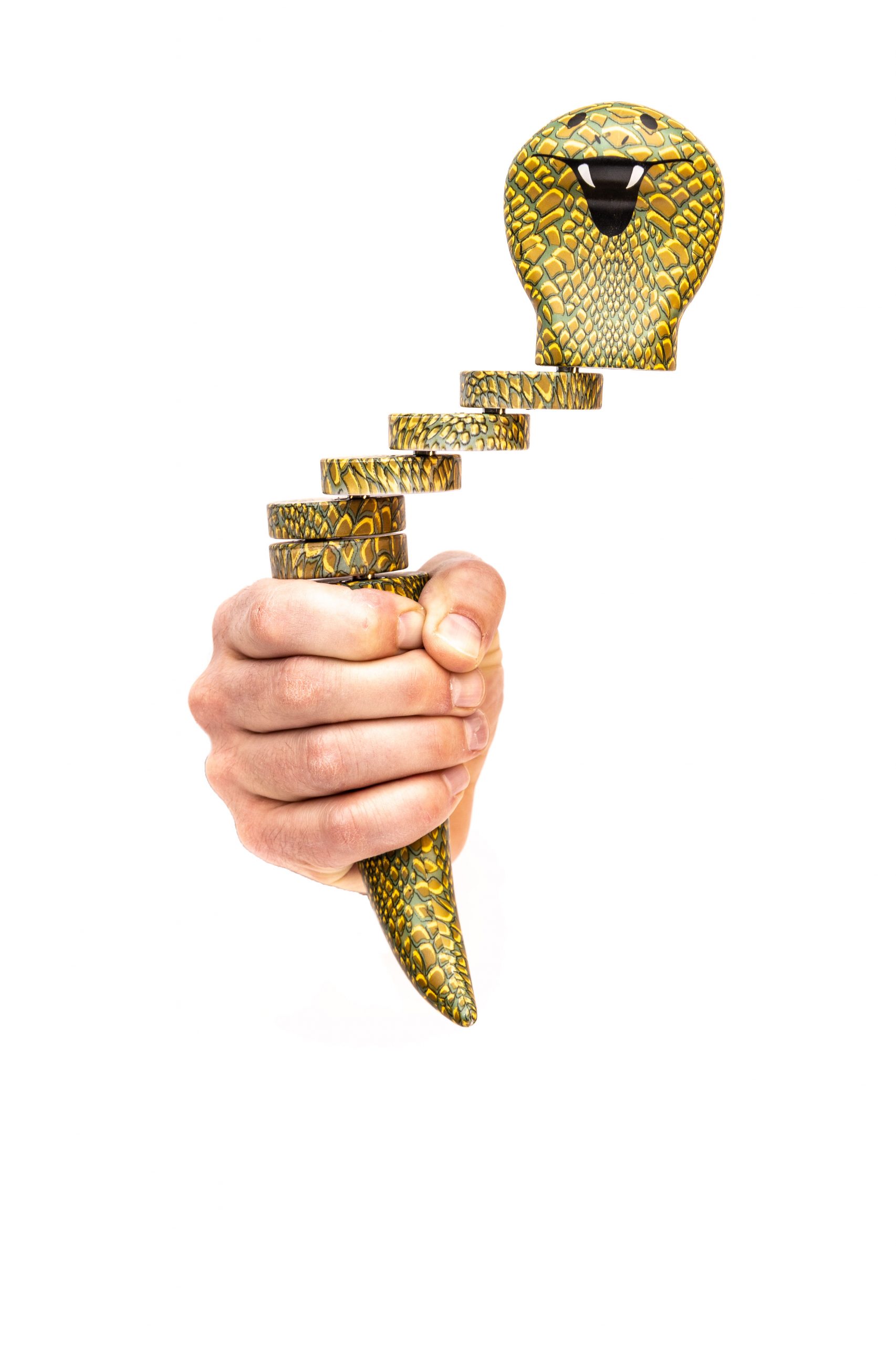 Hand with Snake Charmer toy by Trident Invents